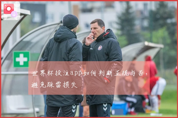 世界杯投注app如何判断正规与否，避免踩雷损失