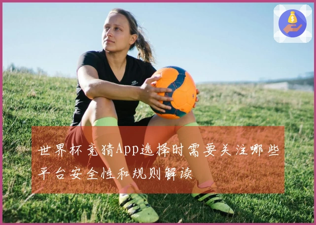 世界杯竞猜App选择时需要关注哪些平台安全性和规则解读