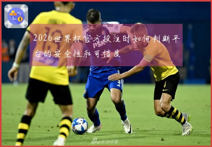 2026世界杯官方投注时如何判断平台的安全性和可信度