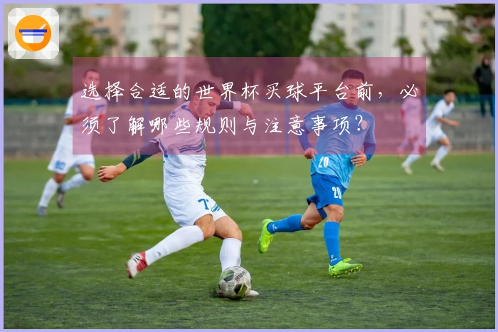 选择合适的世界杯买球平台前，必须了解哪些规则与注意事项？