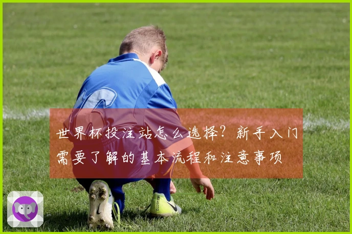 世界杯投注站怎么选择？新手入门需要了解的基本流程和注意事项