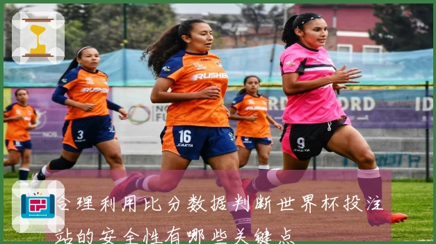 合理利用比分数据判断世界杯投注站的安全性有哪些关键点