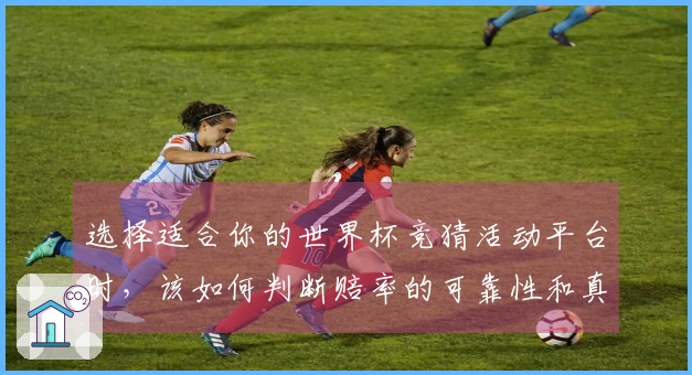 选择适合你的世界杯竞猜活动平台时，该如何判断赔率的可靠性和真实性