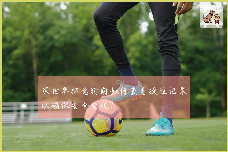 买世界杯竞猜前如何查看投注记录以确保安全合规？