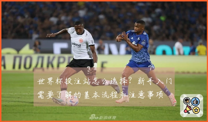 世界杯投注站怎么选择？新手入门需要了解的基本流程和注意事项